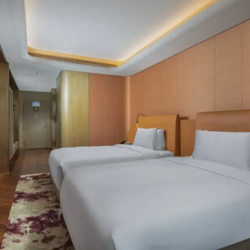 Deluxe City View Twin Room