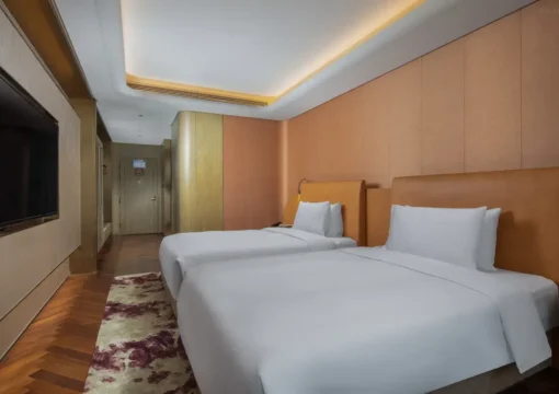 Deluxe City View Twin Room